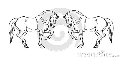 Image of prancing drawn heavy horses on white background Vector Illustration